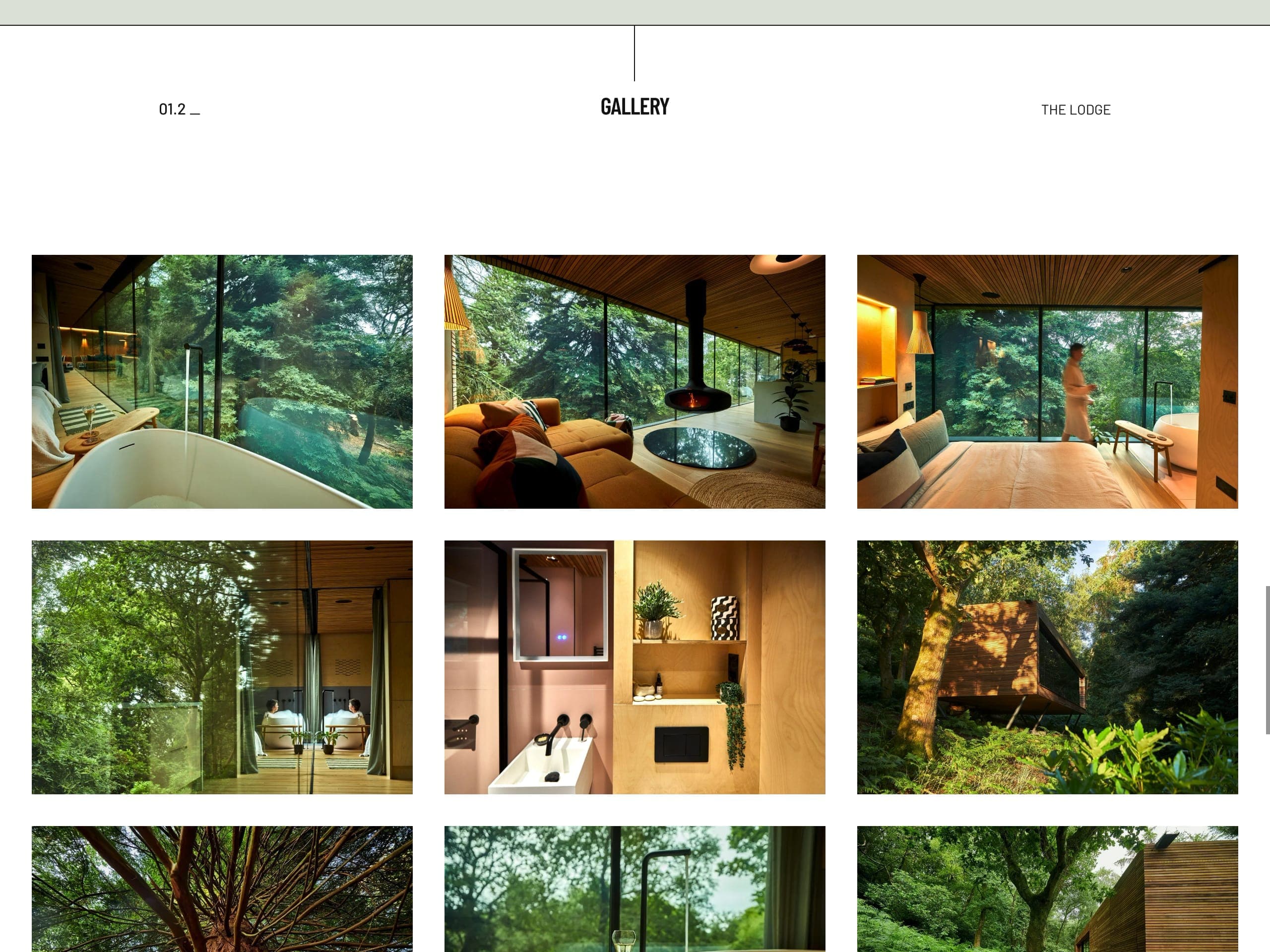 Looking Glass Lodge 5